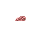 Larva - Mystic Defender / Kujaku-Ou 2