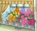 Marco's Flower Shop - Avenue Flo