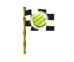 End Flag - SpongeBob Run