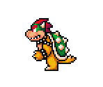 Bowser - Mario Customs