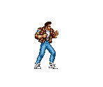 Dan - Sengoku Densho (JPN)
