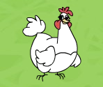 Chicken Search - Avenue Flo