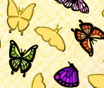 Butterfly List - Avenue Flo