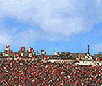 Backgrounds - American Racing / Scott Dixon Racing