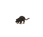 Rat (Hand-Drawn, Oct '95) - The Elder Scrolls II: Daggerfall
