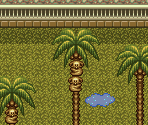 Suncoast (Expansion 1 - Zoo) - Terranigma