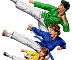 Title Screen - 3 Ninjas Kick Back (USA)
