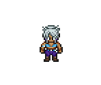 NPC Wrestler (Female) - Metal Max 3
