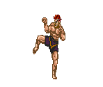 Adon - Fighting Street / Street Fighter