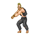 Birdie - Fighting Street / Street Fighter
