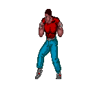 Mike - Fighting Street / Street Fighter