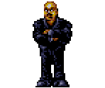Agent - 3 Ninjas Kick Back (USA)