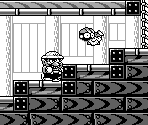 Course 29 - Wario Land: Super Mario Land 3