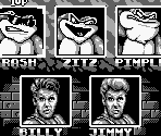 Character Select Screen - Battletoads / Double Dragon