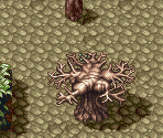 New Zealand - Terranigma