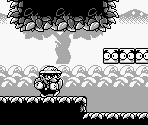 Course 37 - Wario Land: Super Mario Land 3