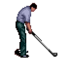 Golfer - Dynamic Country Club (JPN)