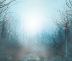 Game Banner & Icon - Harry Potter and the Deathly Hallows - Part 1