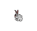 Bunny - Pet Shop Hop