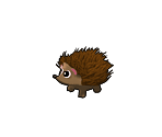 Hedgehog - Pet Shop Hop
