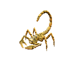 Clawbug - Geneforge