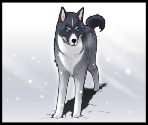 Opening - Husky Express