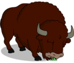Buffalo - The Simpsons: Tapped Out
