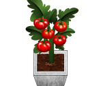 Help - Garden Dash