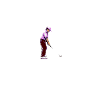 Golfer 2 - Fred Couples Golf