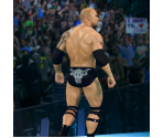 Trophy Banner & Icons - WWE 2K15