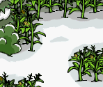 Amazing Maze Level Maps - Club Penguin: Elite Penguin Force: Herbert's Revenge