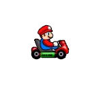 Racers - Mario Racing Tournament
