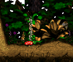 Ghostly Grove Bonus 1 - Donkey Kong Country 2: Diddy's Kong Quest