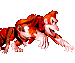 Level Warp - Donkey Kong Country