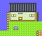 Blackthorn City - Pokémon Crystal