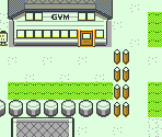 Pewter City - Pokémon Crystal