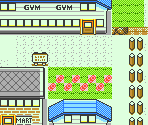 Cerulean City - Pokémon Crystal