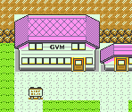 Fuchsia City - Pokémon Crystal