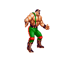 Mike Haggar - Saturday Night Slam Masters / Muscle Bomber