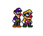 Wario & Waluigi - Mario Customs