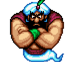 Ma Djinn - Pocky and Rocky