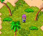 Tropical Islands - Dragon Ball Z: The Legacy of Goku II