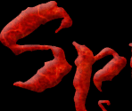 Spiderweb Software Logo - Geneforge 3