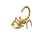 Clawbug - Geneforge 3