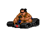 Sumo - Street Racer