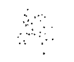 Gnats - Minnesota Cuke and the Coconut Apes