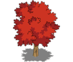 Maple Tree - The Simpsons: Tapped Out