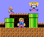 Wario (Super Mario Maker-Style) - Wario Customs