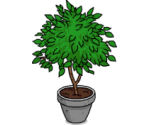 Ficus Plant - The Simpsons: Tapped Out