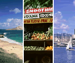 Travel Ticket Backgrounds (Hawaii) - Tomodachi Collection (JPN)